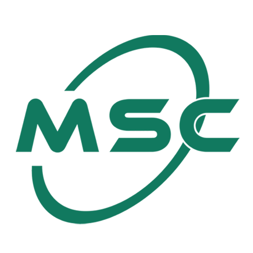 MAGSI SHIPPING & CARGO L.L.C